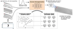 IH-GAN: A Conditional Generative Model for Implicit Surface-Based Inverse Design of Cellular Structures